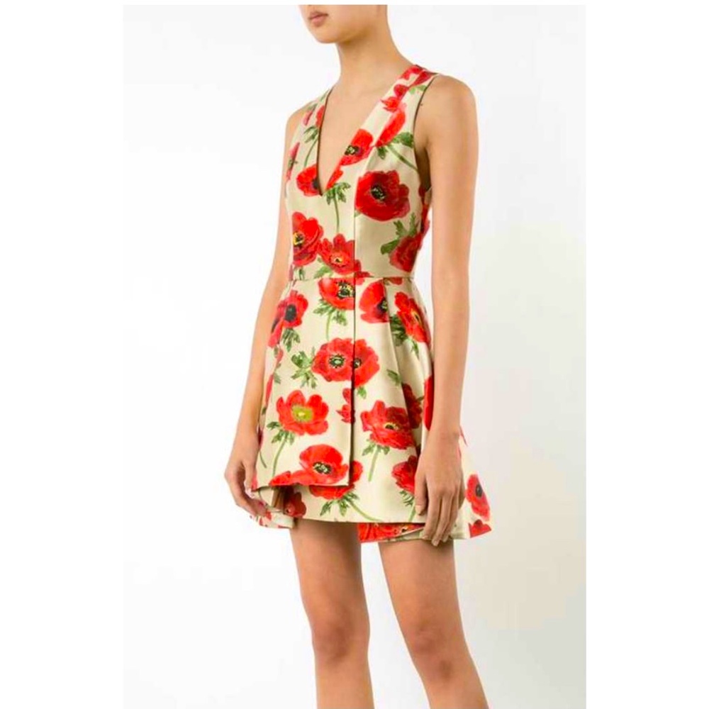 NWT Alice + Olivia falling poppy dress size 2